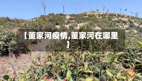 【董家河疫情,董家河在哪里】