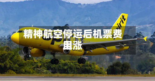 精神航空停运后机票费用
上涨