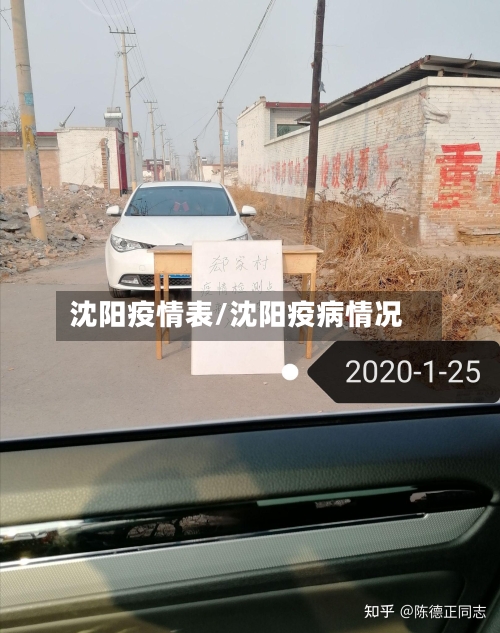 沈阳疫情表/沈阳疫病情况