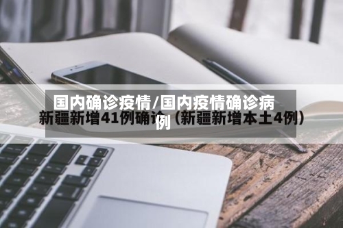 国内确诊疫情/国内疫情确诊病例