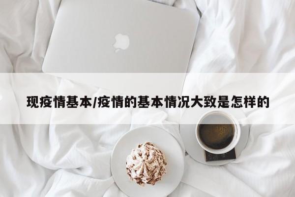 现疫情基本/疫情的基本情况大致是怎样的